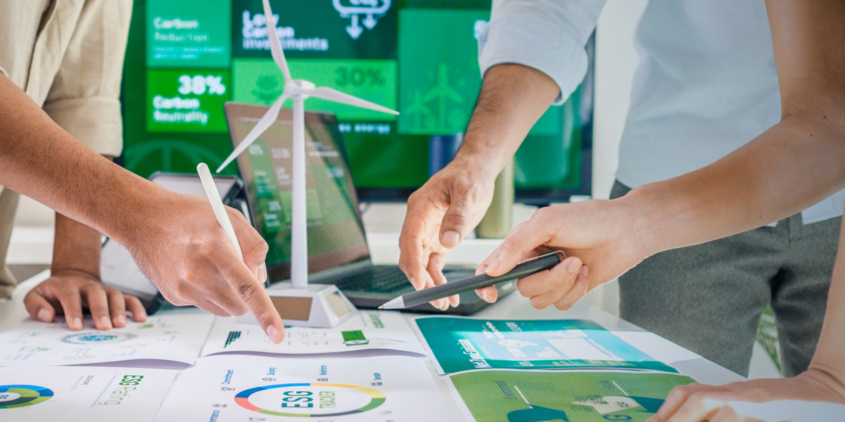 environmental management career