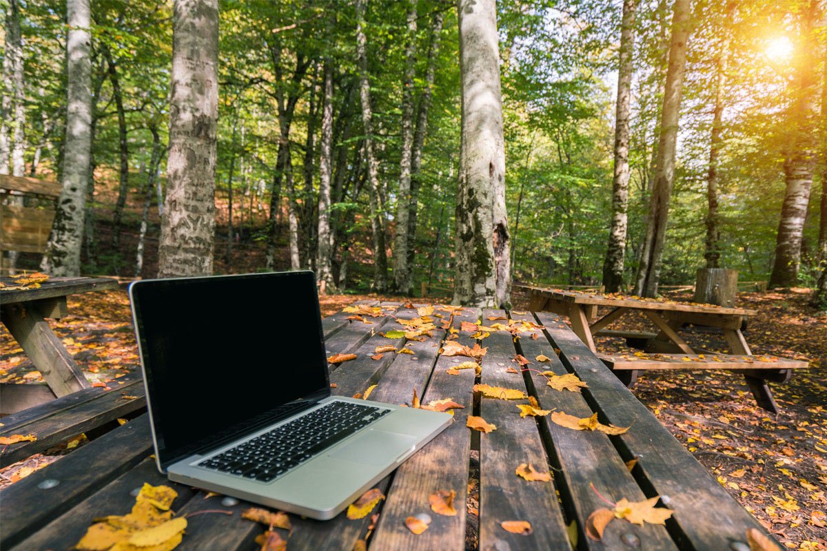 A laptop sits on a picnic table covered in yellow leaves.